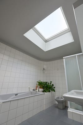 bathroom skylight